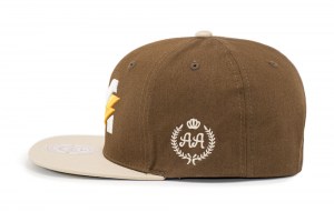 Snapback - DA Power - Brown - Left