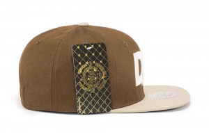 Snapback - DA Power - Brown - Right