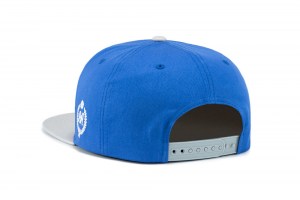 Snapback ~ DAF - Blue - Light Grey ~ Back