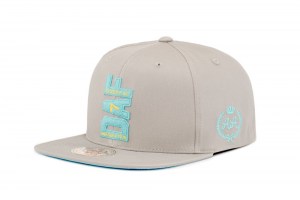 Snapback ~ DAF - Grey ~ Front