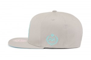 Snapback ~ DAF - Grey ~ Left