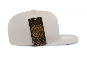Snapback ~ DAF - Grey ~ Right