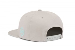 Snapback ~ DAF - Grey ~ Back