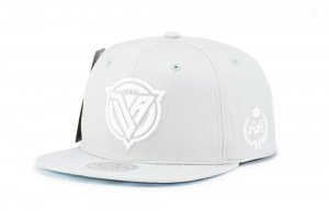 Snapback ~ DA - Light Grey ~ Front