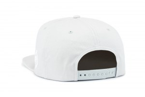 Snapback ~ DA - Light Grey ~ Back