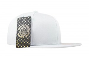 Snapback - Double AA - Sin Bordado - Light Grey - Front
